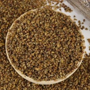 云南大理洱源縣苦蕎麥 優質初級農產品批發指南