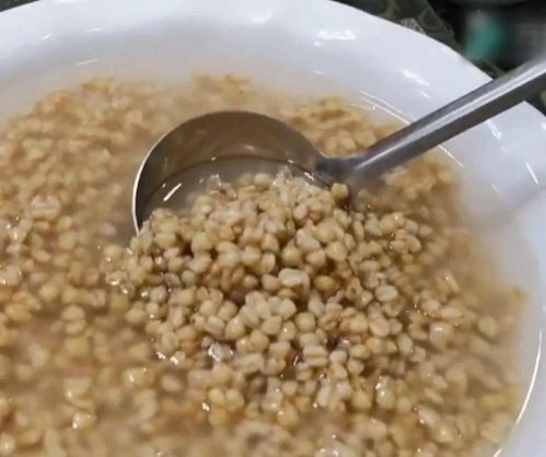 渦陽麥仁酵兒 那一口，真滋潤